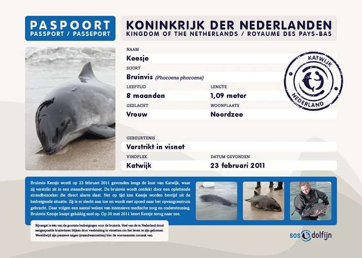Informatiebord voor SOS Dolfijn