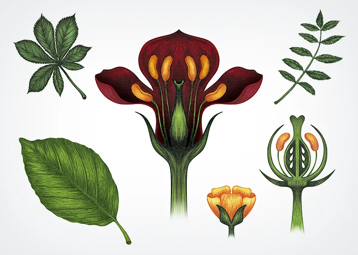 Illustraties voor ErUit